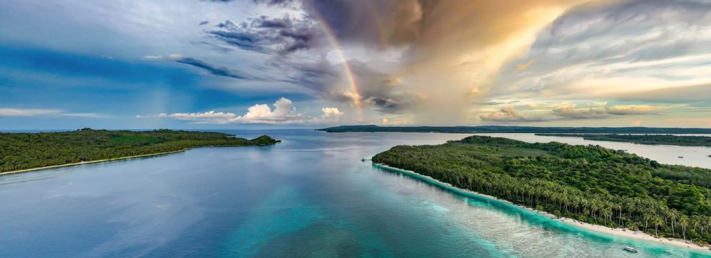 Learn about aloita resort in the mentawai islands