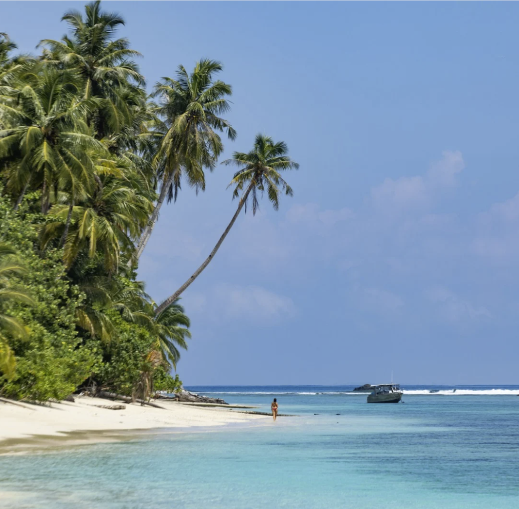 sunset villa exclusive - aloita resort in the mentawai islands